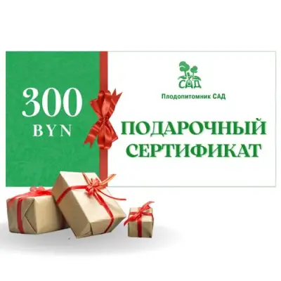 Подарочный сертификат на 300 BYN в Москве