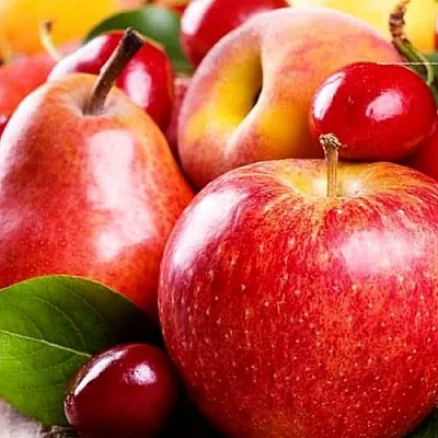 Плодовые деревья  Плодовые деревья в Москве