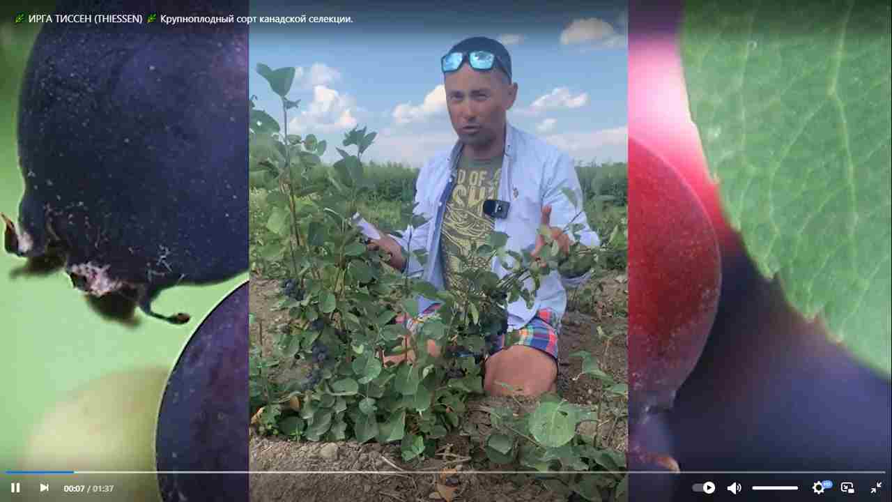 Превью видео